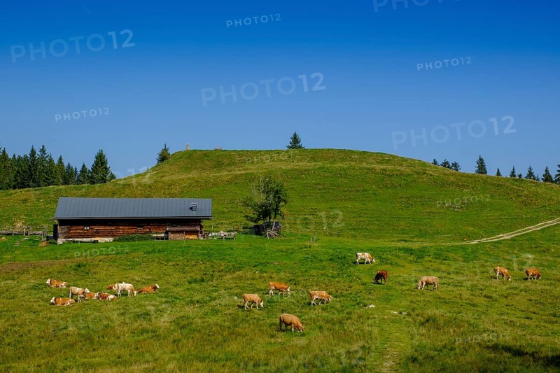 Langenbergalm