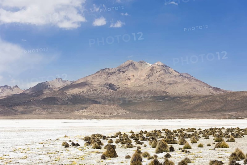 Salt lake Salar de Surire