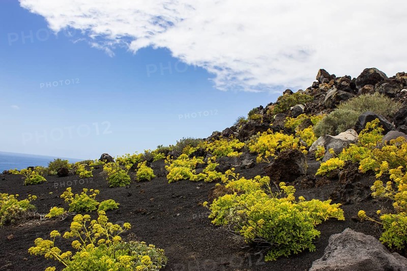 Volcano landschaft