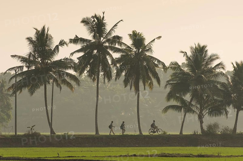 School children on the way home