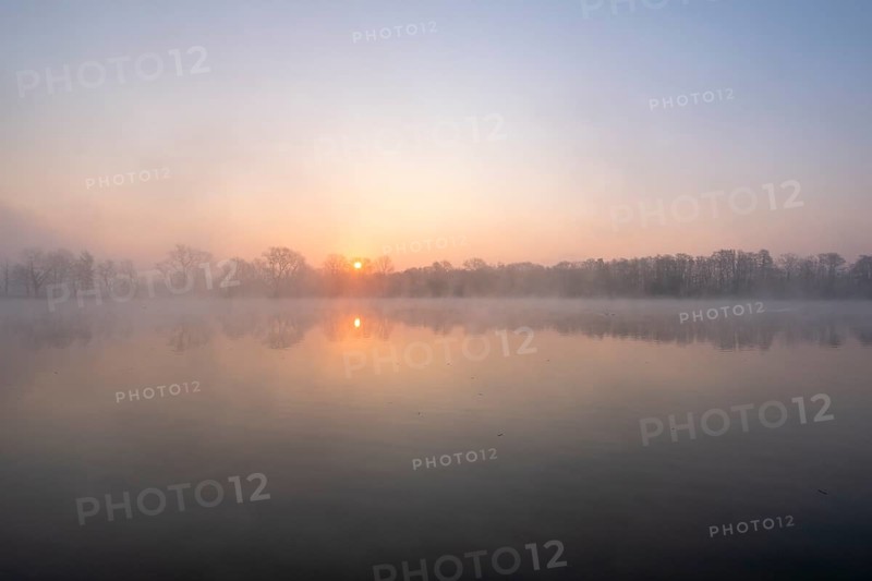 Sunrise in the fog at a pond