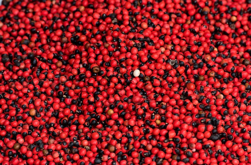 Jequirity peas (Abrus precatorius)