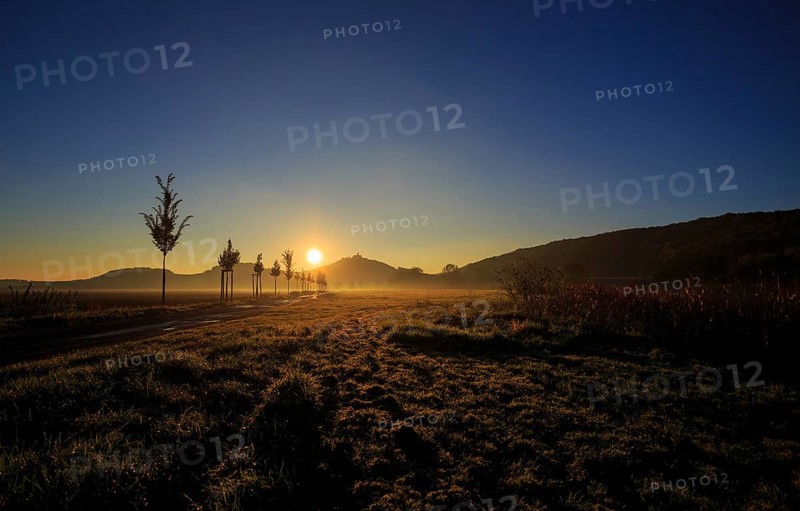 Veste Wachsenburg castle in the morning