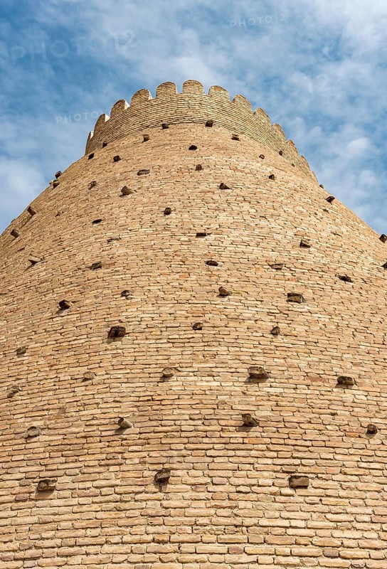 Ark Fortress