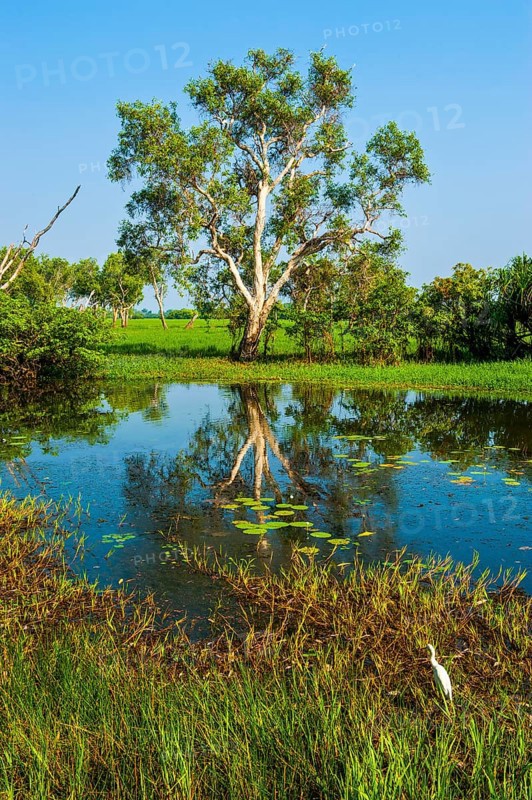 Little lake