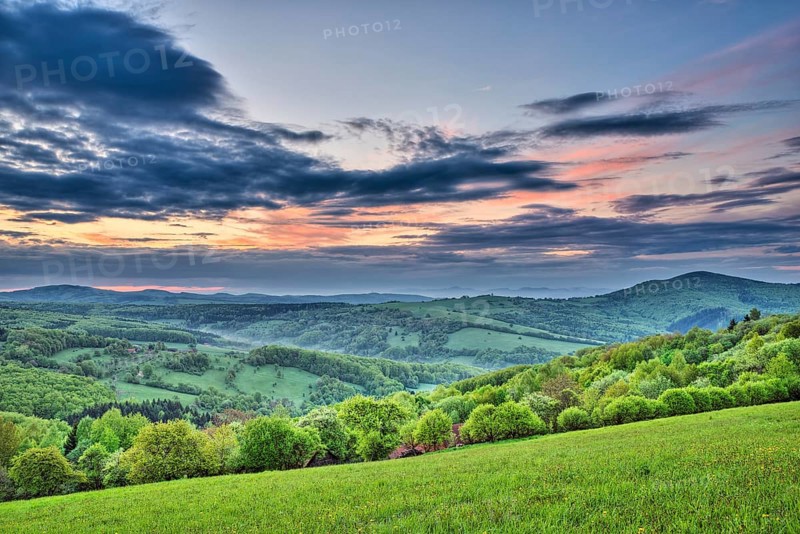 Landscape