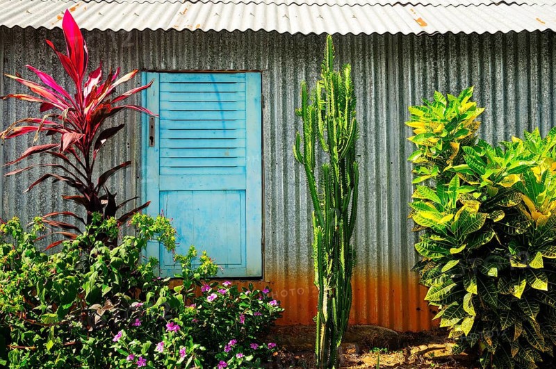 Corrugated iron hut with blue shutters