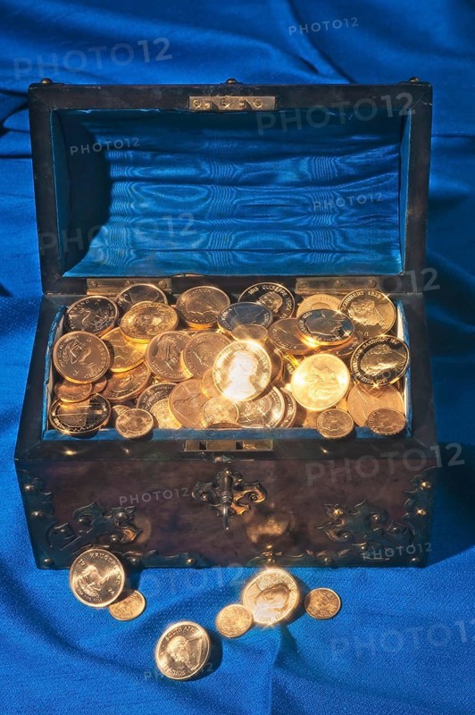 Chest filled with gold coins
