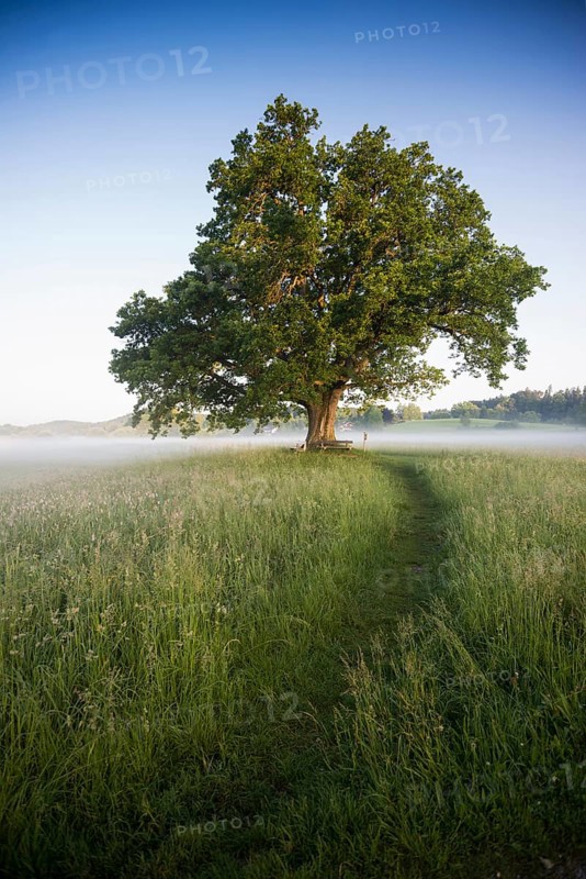 Morning atmosphere