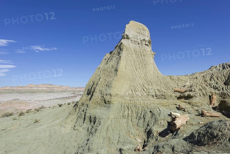 Petrified forest Bosque Petrificado National Monument