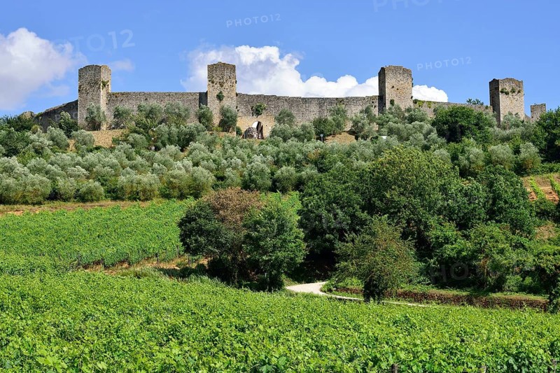 Ramparts of the medieval village of Monteriggioni