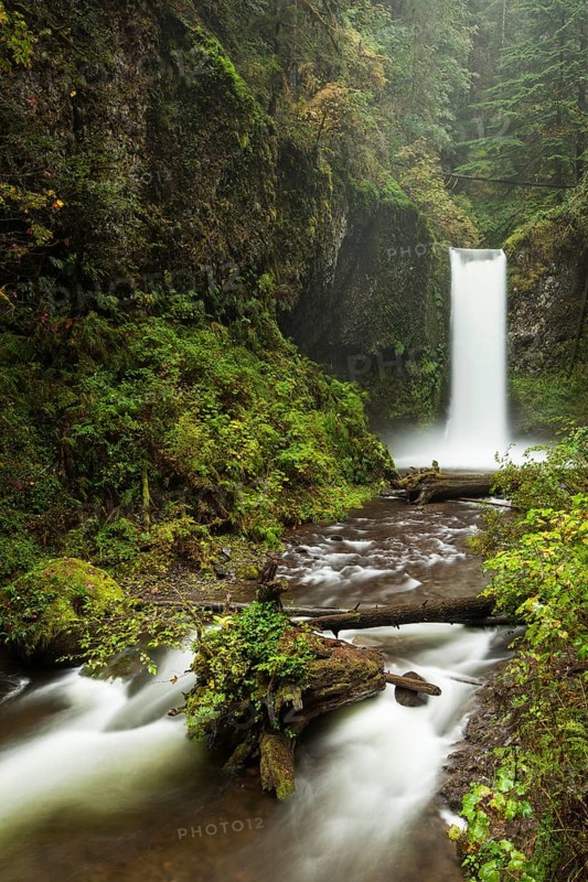 Waterfall Wiesendanger Falls in the Columbia River Gorge