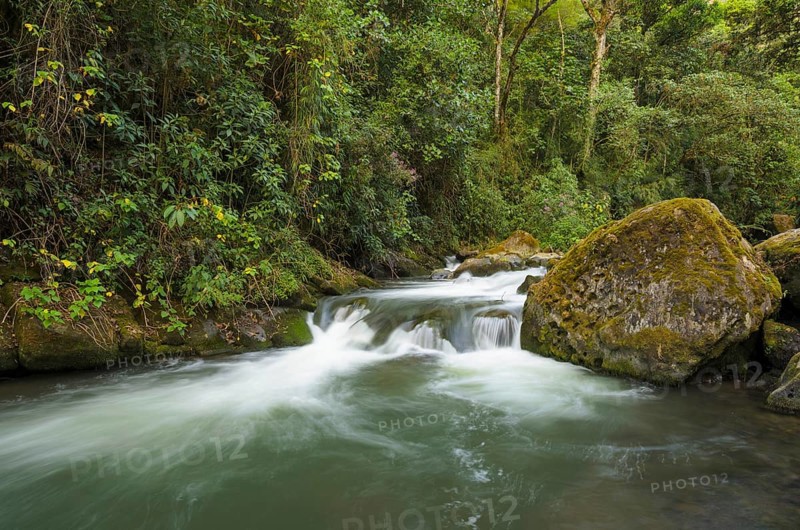 River in mountain forest