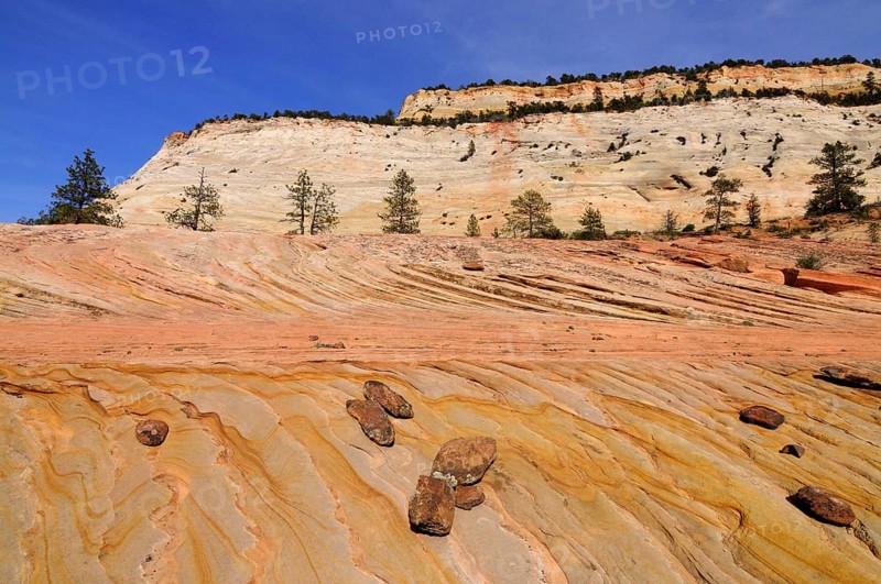 Plateau of colourful sandstone at the foot of Checkerboard Mesa