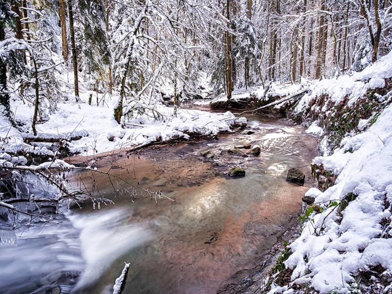 Strumpfelbach brook in the snowy forest