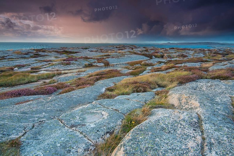 Rocks