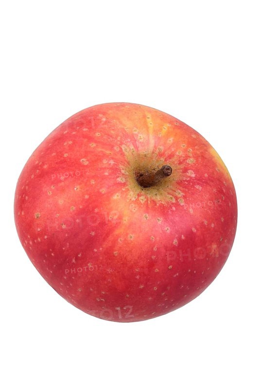 Apple variety Ruhm aus Kelsterbach