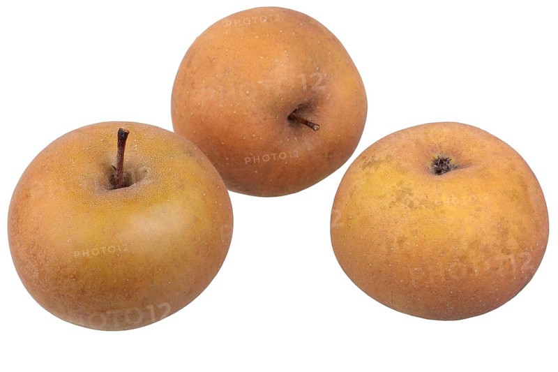 Apple variety Zabergau Reinette