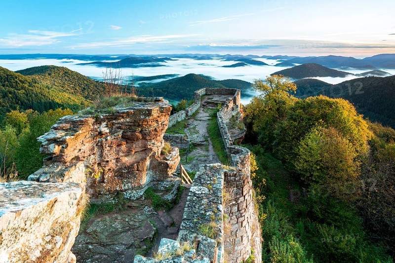 View of the Palatinate Forest from Wegelnburg Castle