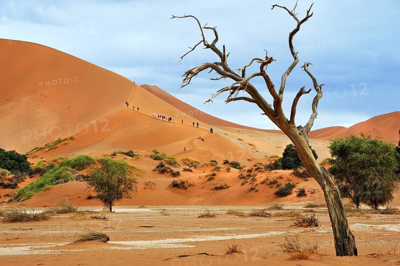 Tourists climbing the dunes of Sossusvlei