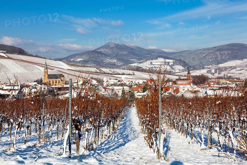 Birkweiler wine village