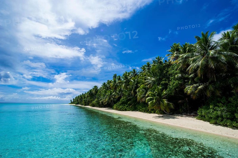 White sand beach and turquoise water in the Ant Atoll