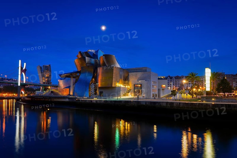 Guggenheim Museum Bilbao