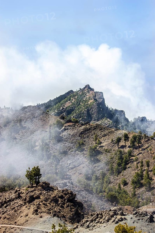 View from Pico de las Nieves