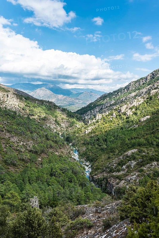 Riverbed of the Tavignano