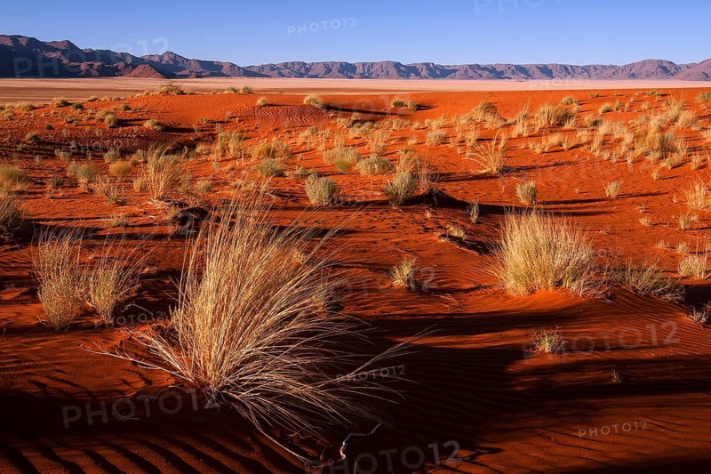 Southern foothills of the Namib desert