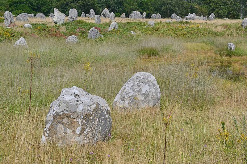 Carnac stones