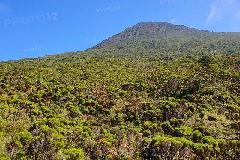 Mount Pico