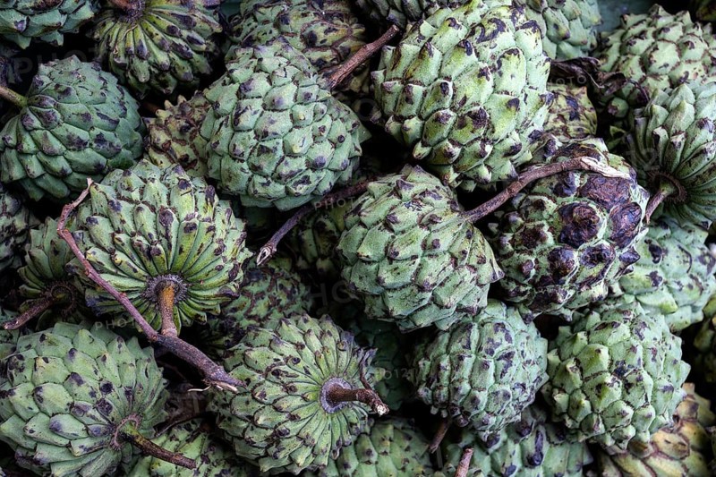 Custard apples (Annona squamosa)