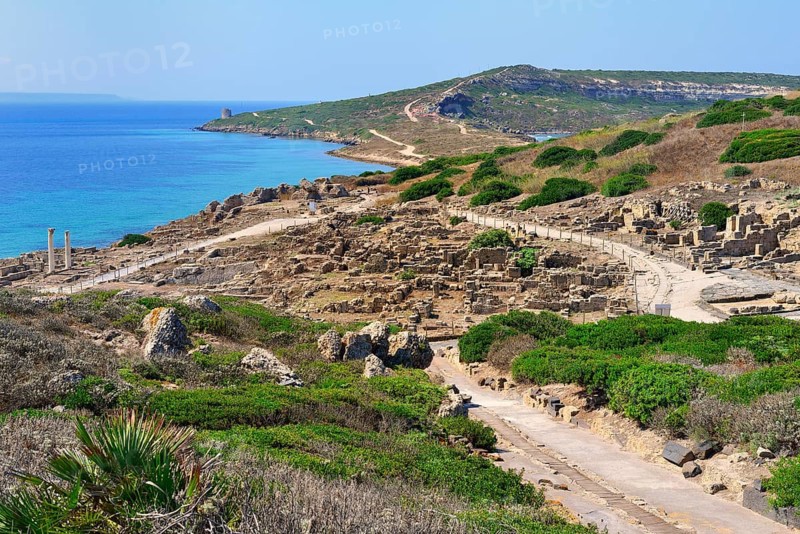 Excavations of the ancient city Tharros