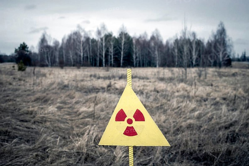 Wooded area in the contaminated zone between Pripyat and Chernobyl