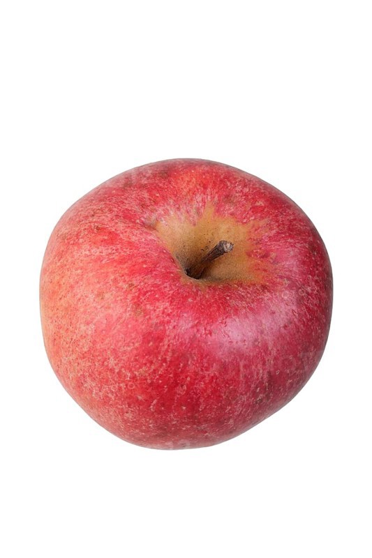 Apple variety Swiss Orange Apple