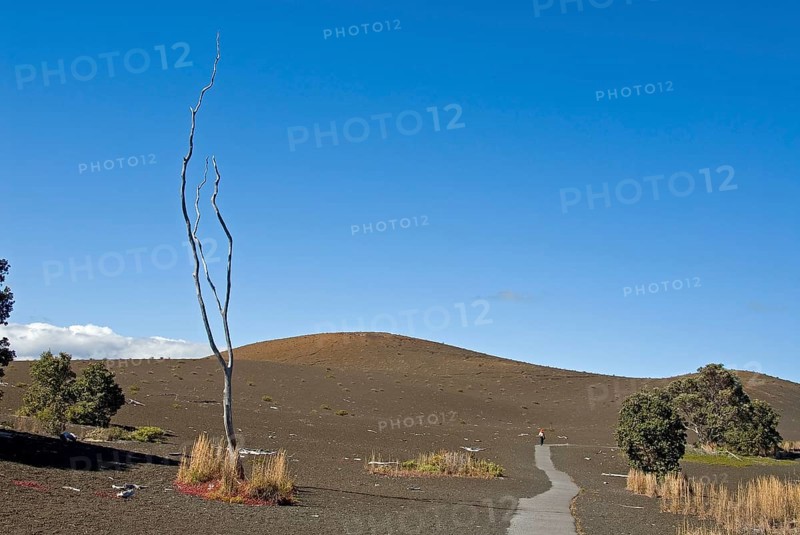 Devastation Trail through lava landscape