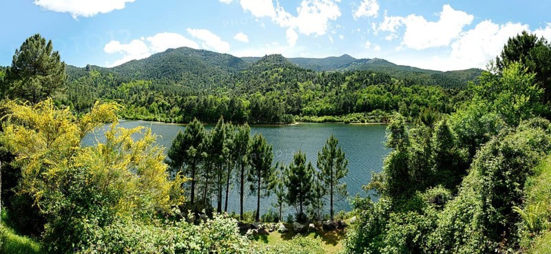 Reservoir