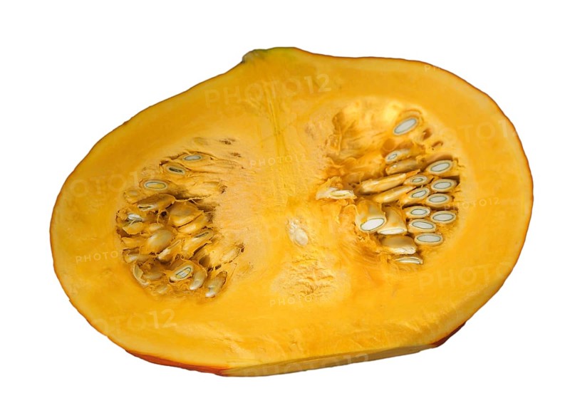 Hokkaido squash