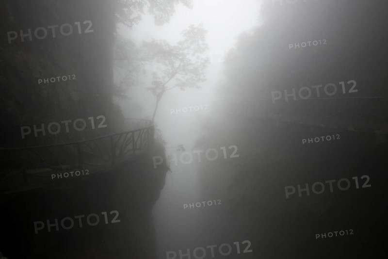Hiking trail in fog