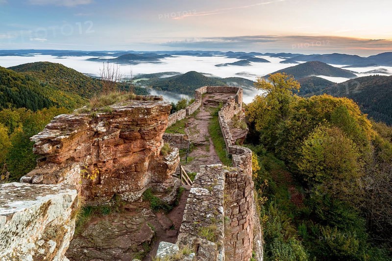 View of the Palatinate Forest from Wegelnburg Castle
