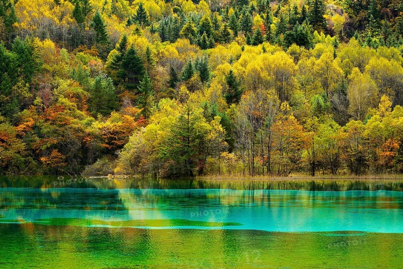 Five Flower Lake in autumnal environment