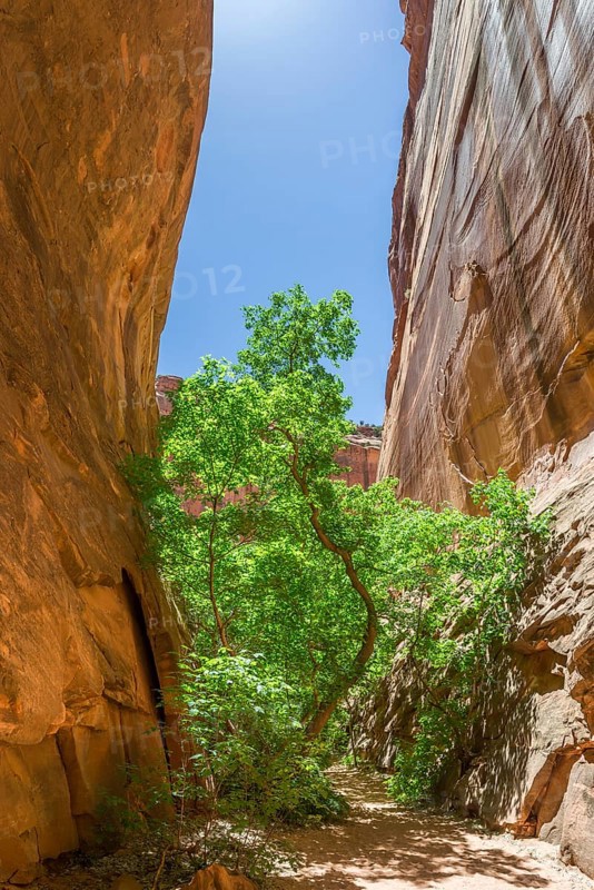 Small gorge