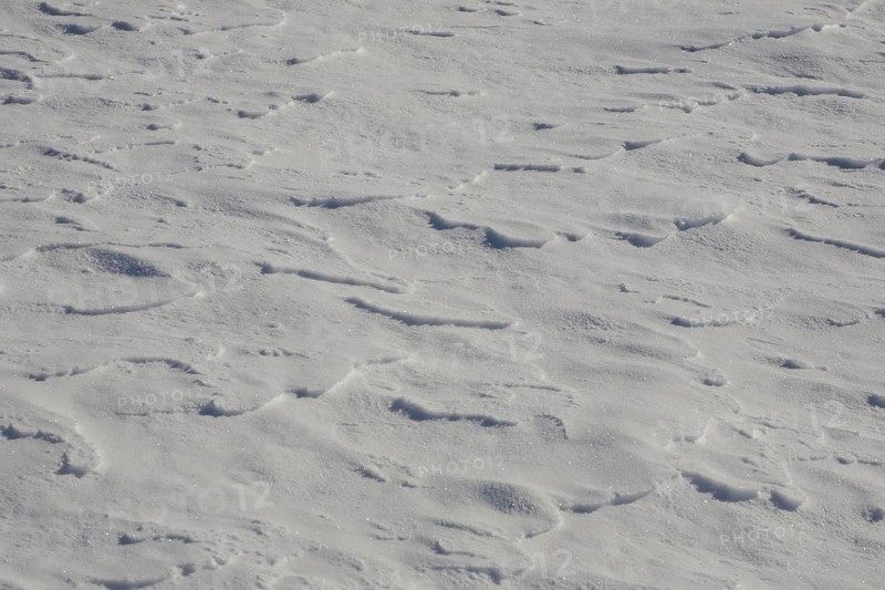 Wind-blown snow on the ground