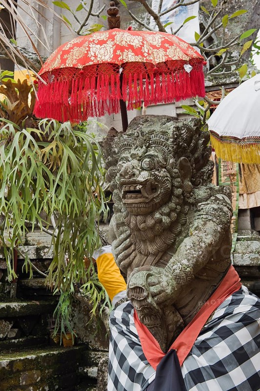 Temple guardian