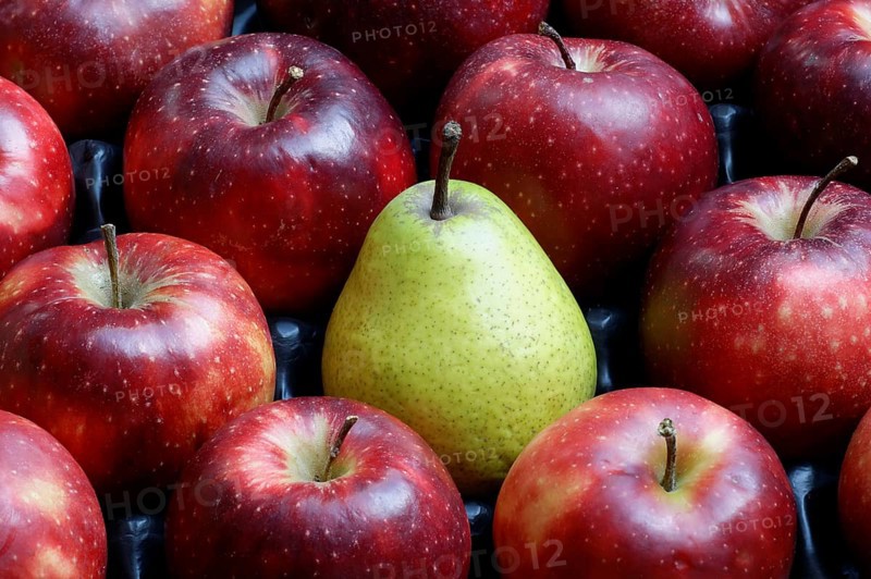 Pear amidst red Jonagored apples