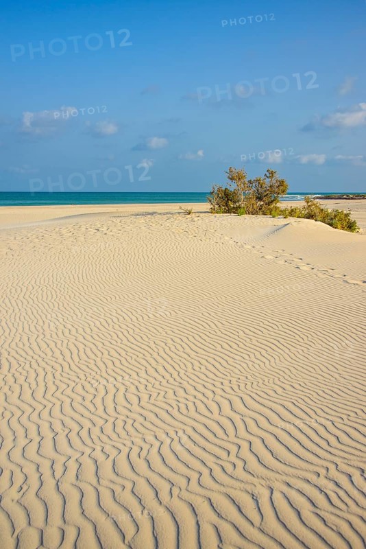 Amak beach