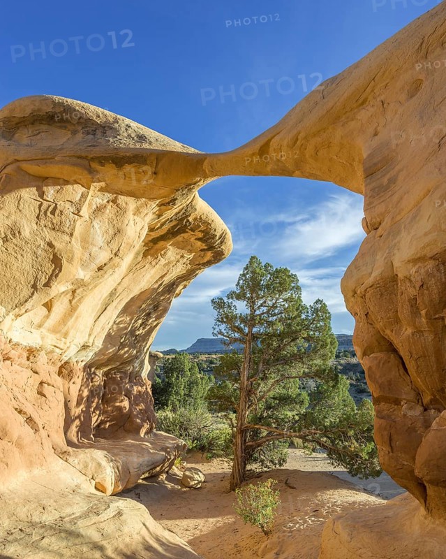 Rock formations in Devil's Garden