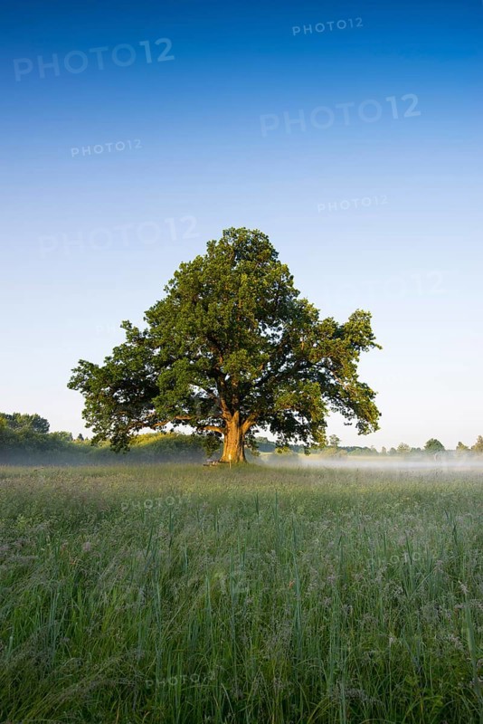 Morning atmosphere