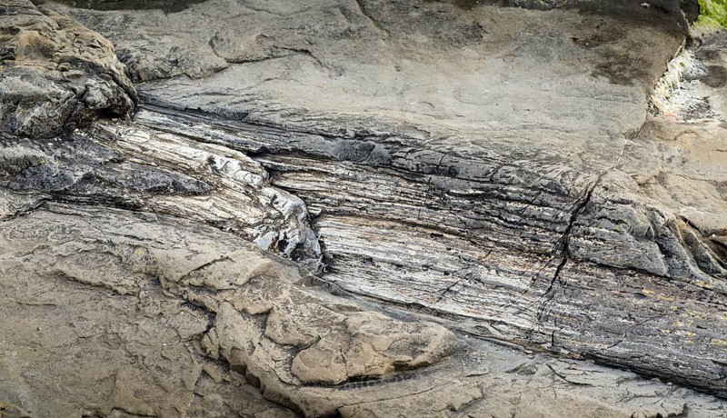 Petrified tree stump